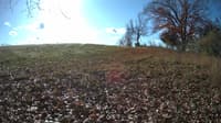 The field cam, Nov 9, 2023 at 8:26am