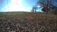 The field cam, Nov 9, 2023 at 8:26am