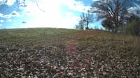 The field cam, Nov 9, 2023 at 8:53am