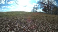The field cam, Nov 9, 2023 at 9:21am