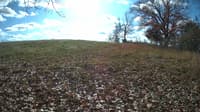 The field cam, Nov 9, 2023 at 9:27am