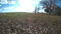 The field cam, Nov 9, 2023 at 9:29am