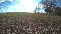 The field cam, Nov 9, 2023 at 9:32am