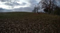 The field cam, Nov 11, 2023 at 6:48am