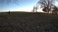 The field cam, Nov 15, 2023 at 2:05pm