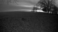 The field cam, Nov 16, 2023 at 3:06pm