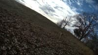 The field cam, Nov 17, 2023 at 7:38am