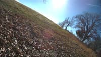 The field cam, Nov 17, 2023 at 9:25am