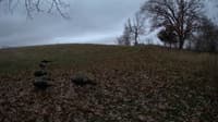 The field cam, Nov 21, 2023 at 7:51am