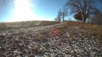 The field cam, Nov 29, 2023 at 8:07am