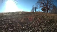 The field cam, Nov 30, 2023 at 7:51am