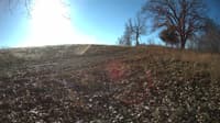 The field cam, Nov 30, 2023 at 8:09am