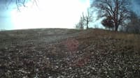 The field cam, Dec 1, 2023 at 9:02am