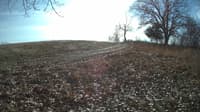 The field cam, Dec 1, 2023 at 10:15am