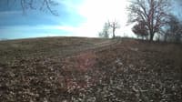 The field cam, Dec 1, 2023 at 10:54am