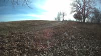 The field cam, Dec 1, 2023 at 10:55am