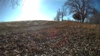 The field cam, Dec 2, 2023 at 8:45am