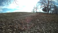 The field cam, Dec 2, 2023 at 10:22am