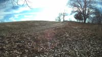 The field cam, Dec 2, 2023 at 10:27am