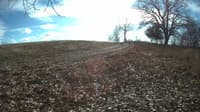 The field cam, Dec 2, 2023 at 10:31am
