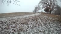 The field cam, Dec 5, 2023 at 5:50am