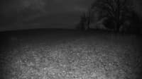 The field cam, Dec 5, 2023 at 3:15pm