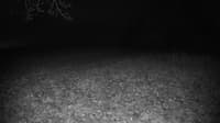 The field cam, Dec 5, 2023 at 3:28pm