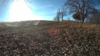 The field cam, Dec 7, 2023 at 7:59am