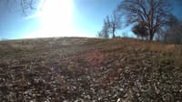 The field cam, Dec 7, 2023 at 8:47am