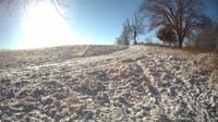 The field cam, Dec 12, 2023 at 8:05am