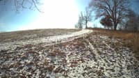 The field cam, Dec 14, 2023 at 9:40am