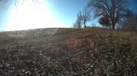 The field cam, Dec 18, 2023 at 8:14am