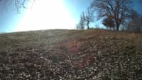 The field cam, Dec 18, 2023 at 9:00am