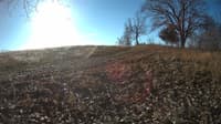 The field cam, Dec 19, 2023 at 8:23am