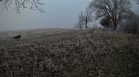 The field cam, Dec 29, 2023 at 1:42pm