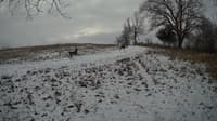 The field cam, Jan 10, 2024 at 8:50am