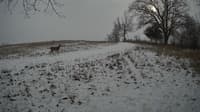 The field cam, Jan 10, 2024 at 12:05pm