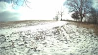 The field cam, Jan 11, 2024 at 10:22am