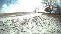 The field cam, Jan 11, 2024 at 10:47am
