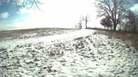 The field cam, Jan 11, 2024 at 10:50am