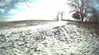 The field cam, Jan 11, 2024 at 10:55am