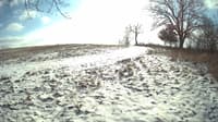 The field cam, Jan 11, 2024 at 10:56am