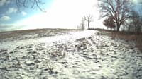 The field cam, Jan 11, 2024 at 10:57am