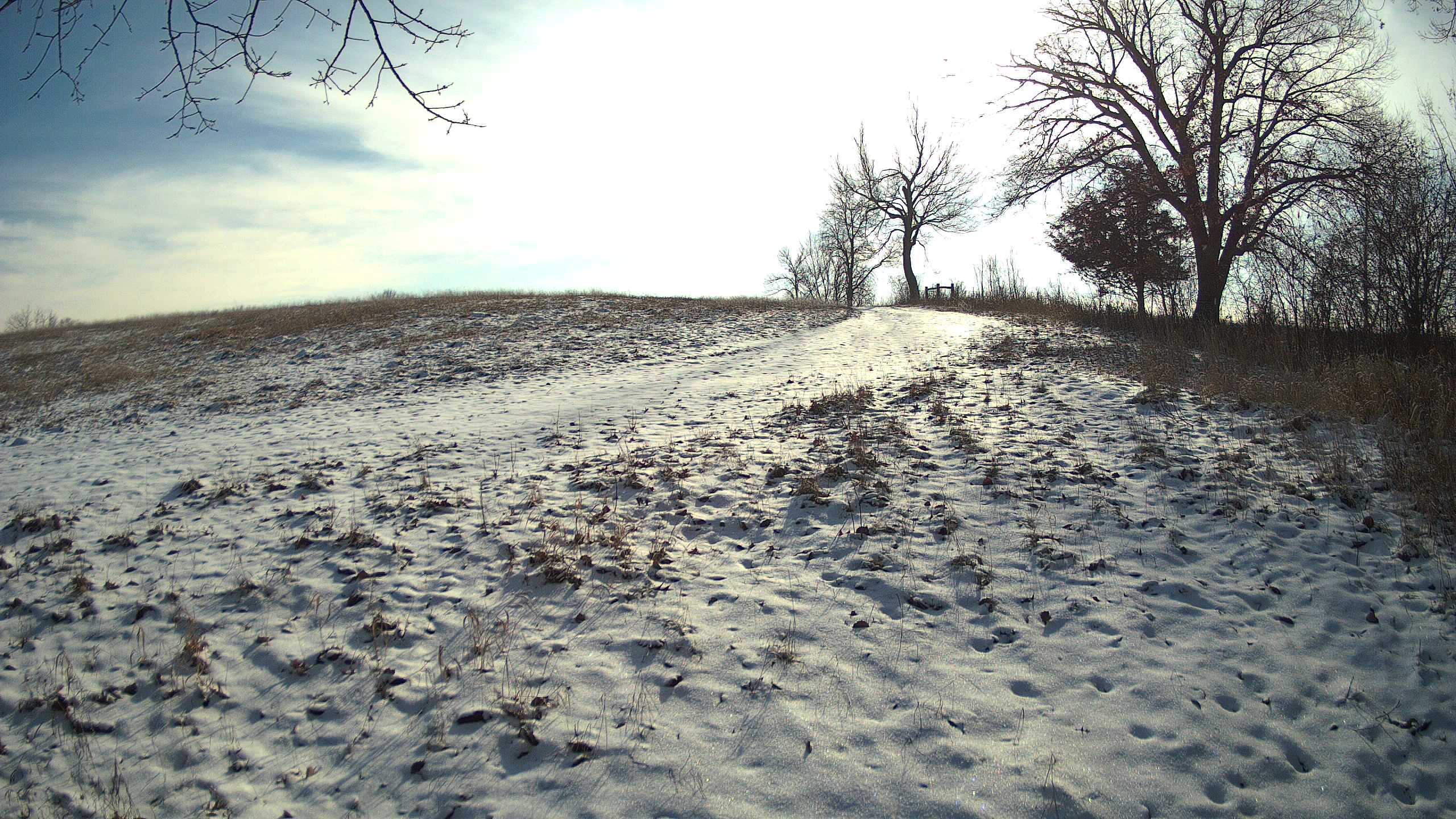 A photo from the field camera