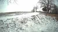 The field cam, Jan 13, 2024 at 10:00am