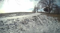 The field cam, Jan 15, 2024 at 8:33am