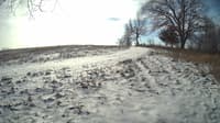 The field cam, Jan 15, 2024 at 9:11am
