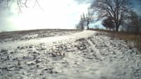 The field cam, Jan 15, 2024 at 9:23am