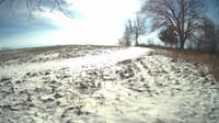 The field cam, Jan 15, 2024 at 10:16am