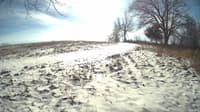 The field cam, Jan 15, 2024 at 10:20am